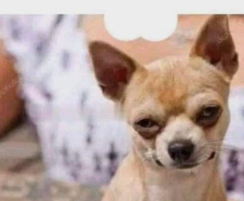 SoNofDavid tweet media