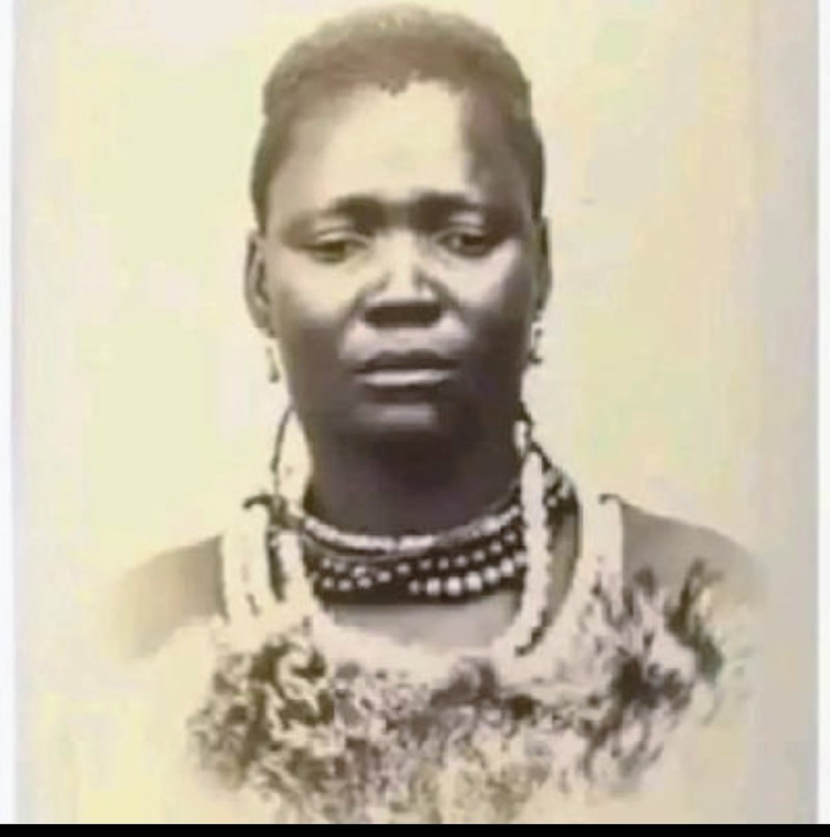 Common Sense tweet media