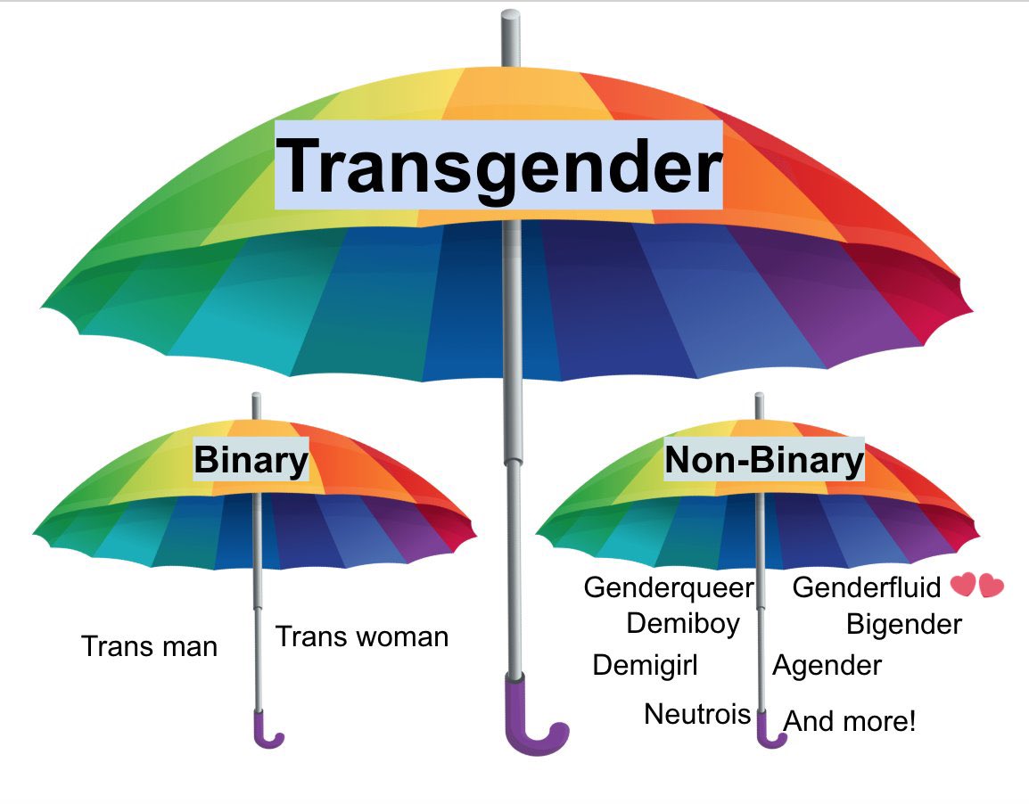 грач 🔪 tweet media