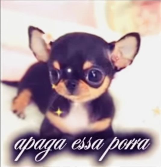 clara, the creator tweet media