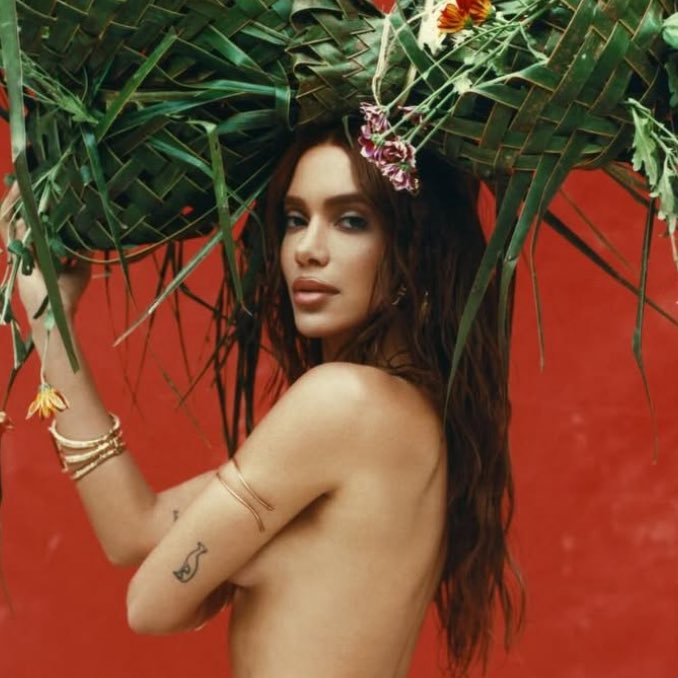 Acesso Anitta tweet media