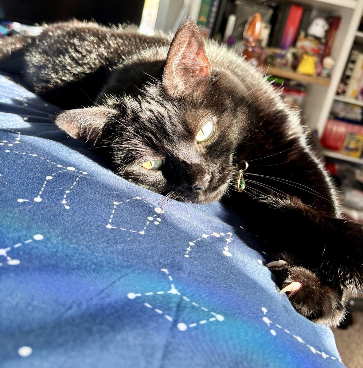 orphios 🔞🦇 tweet media