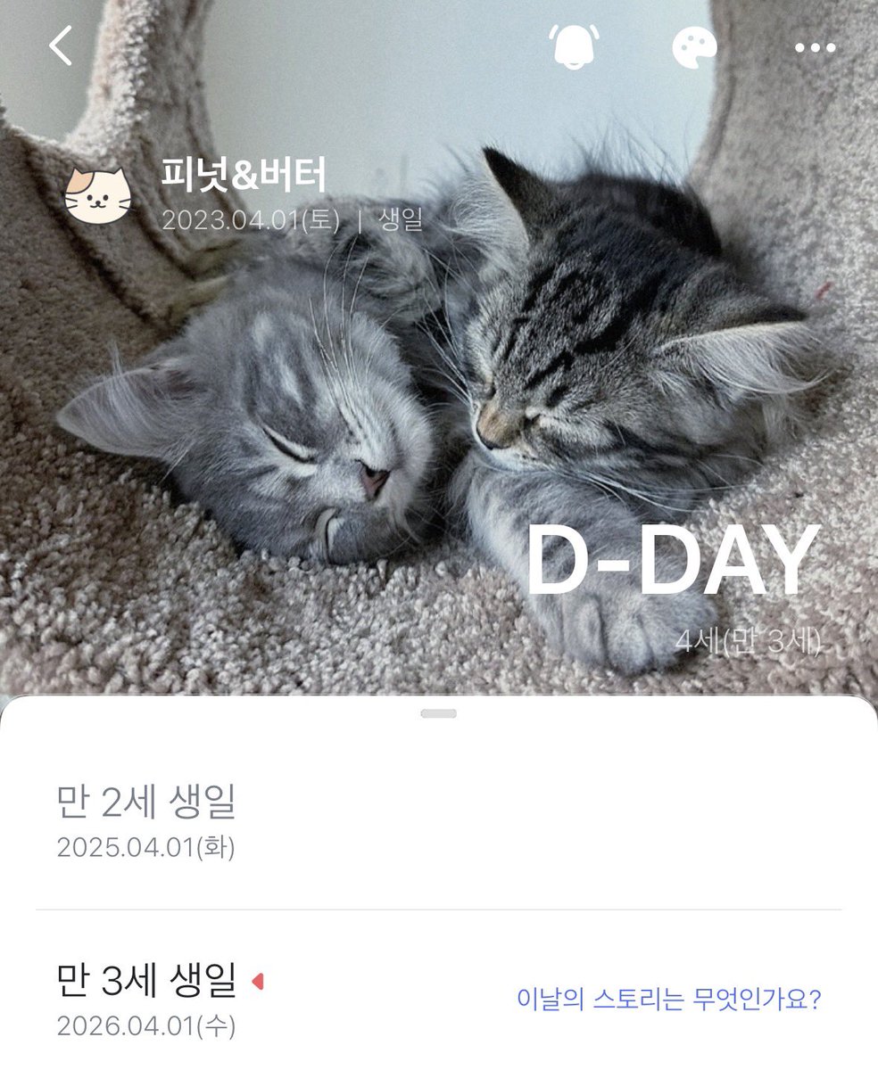휘 tweet media