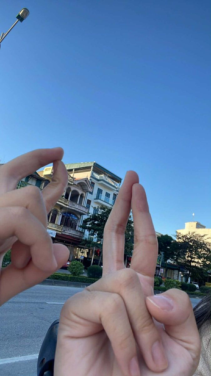 Chlorophyll tweet media