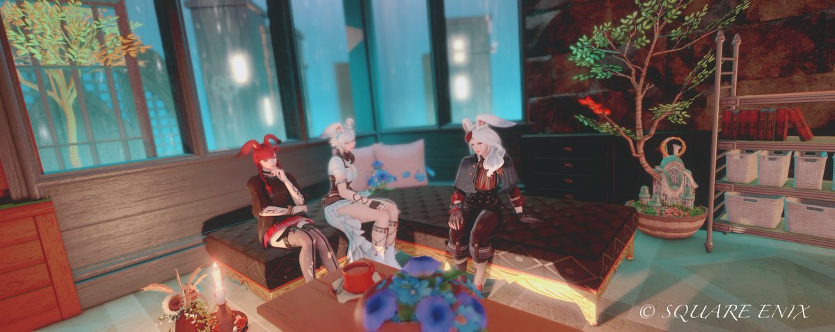 🐰𝘀𝗶𝗹𝘃𝗶𝗮🐐 tweet media