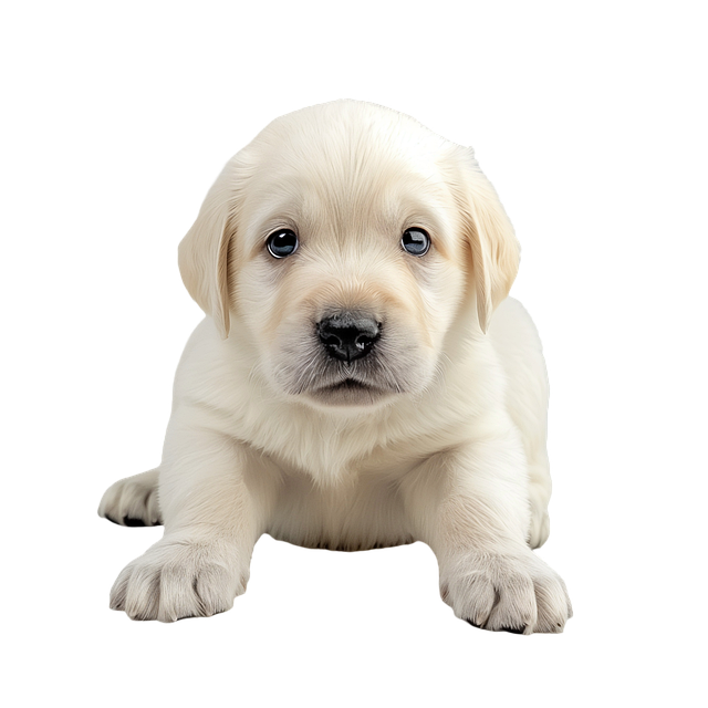 Tyrone Sullivan tweet media