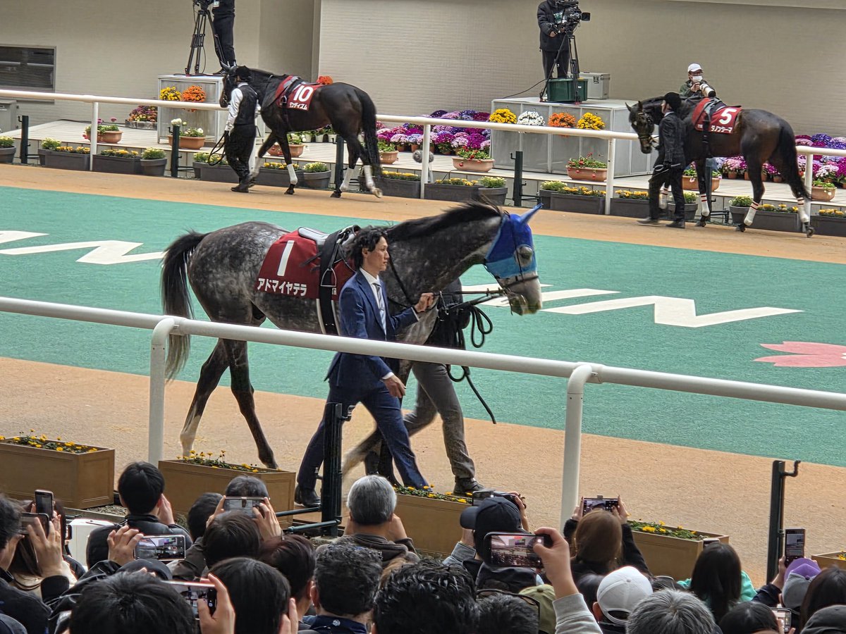 가나시스(ガナシス) tweet media