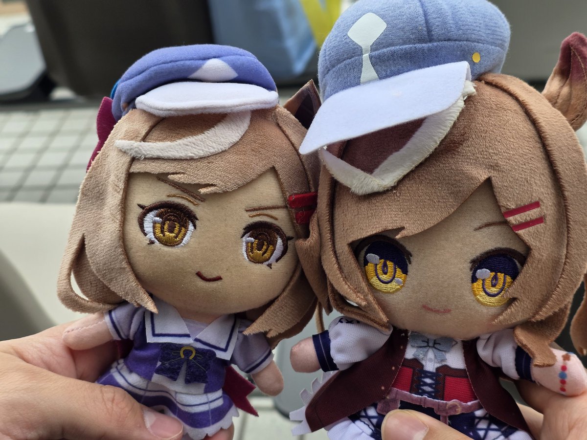 가나시스(ガナシス) tweet media