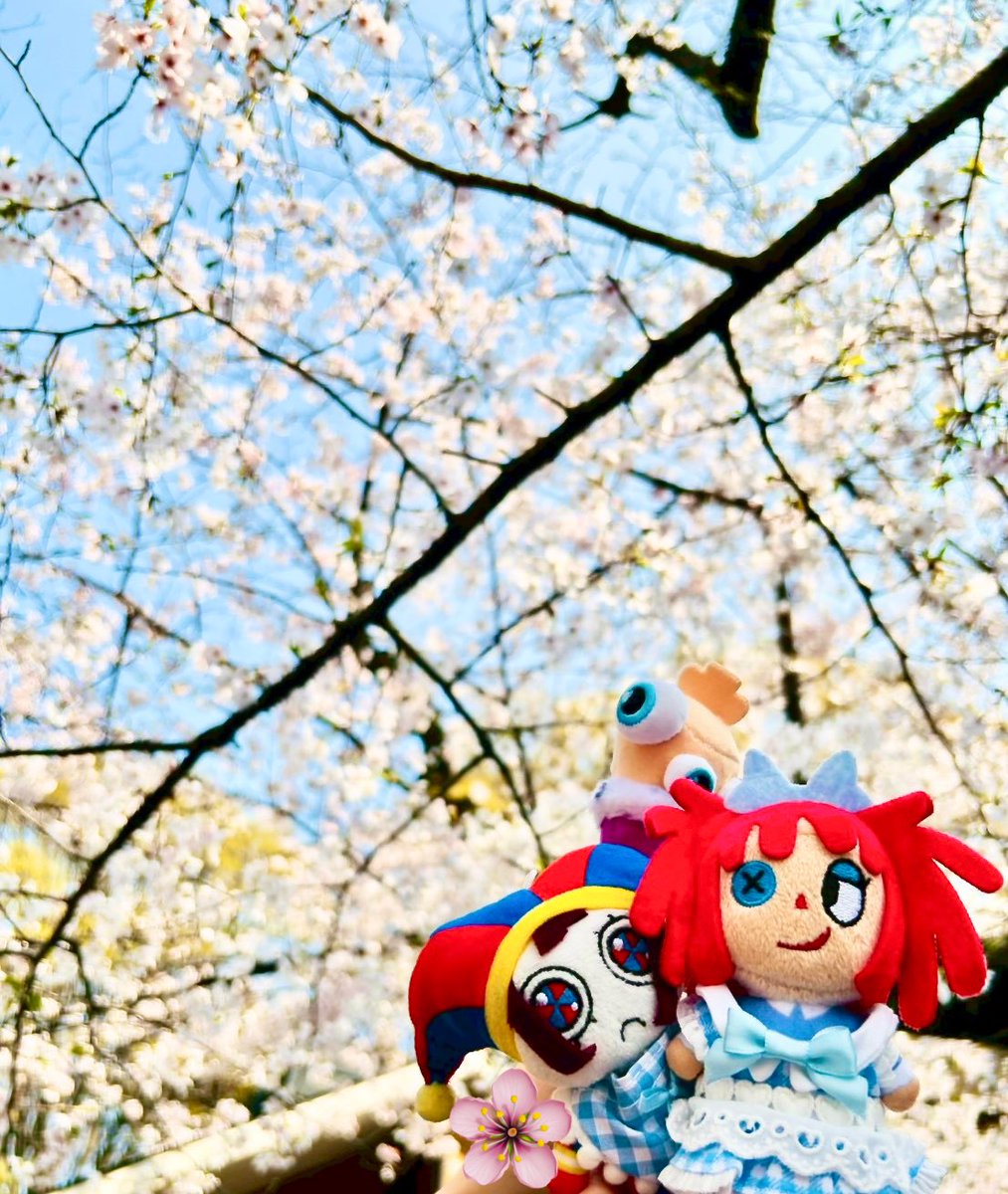 🌟ᴍᴇᴛᴇᴏʀ🌟 tweet media