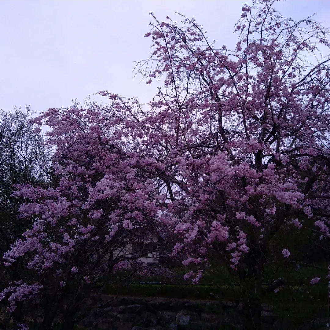 お父さん＠へでな士事務所 tweet media