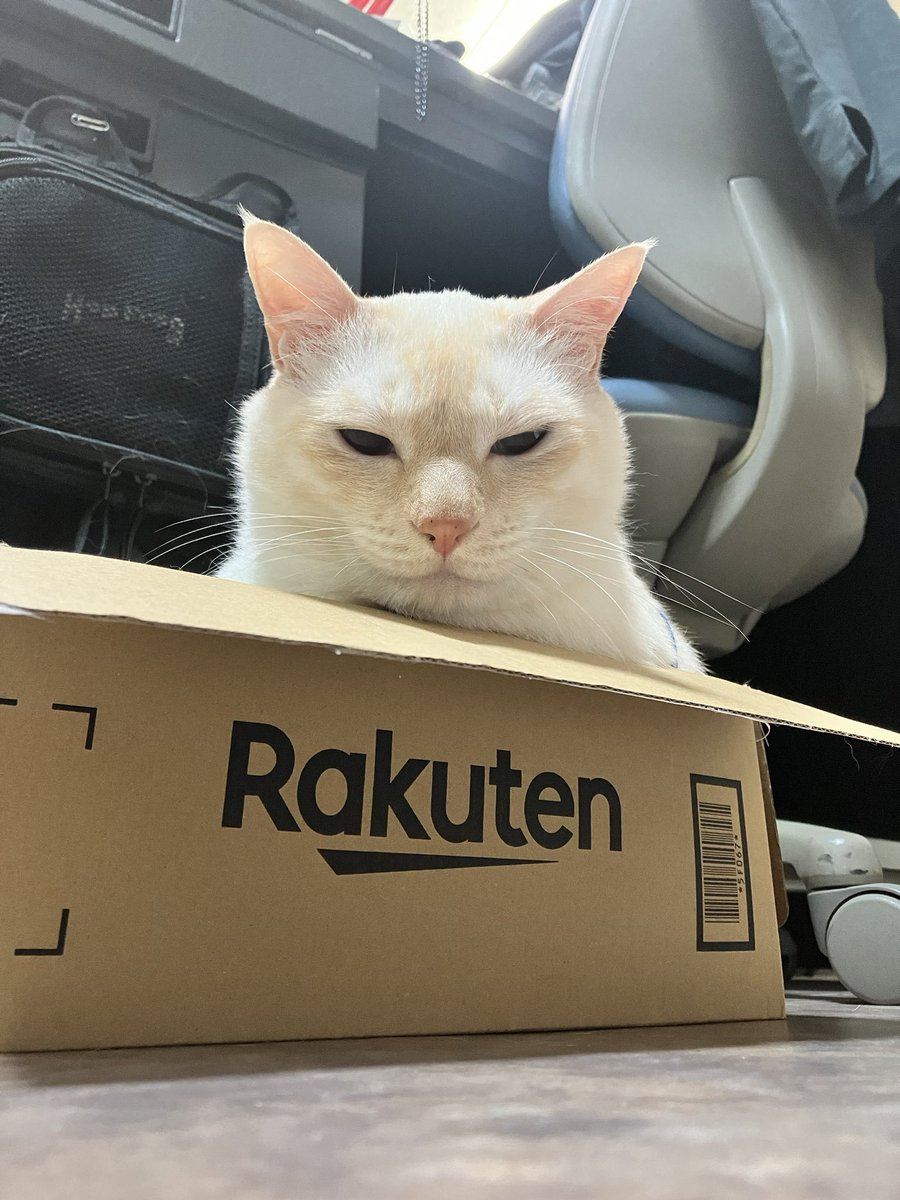 StudioTheo🇺🇸 tweet media