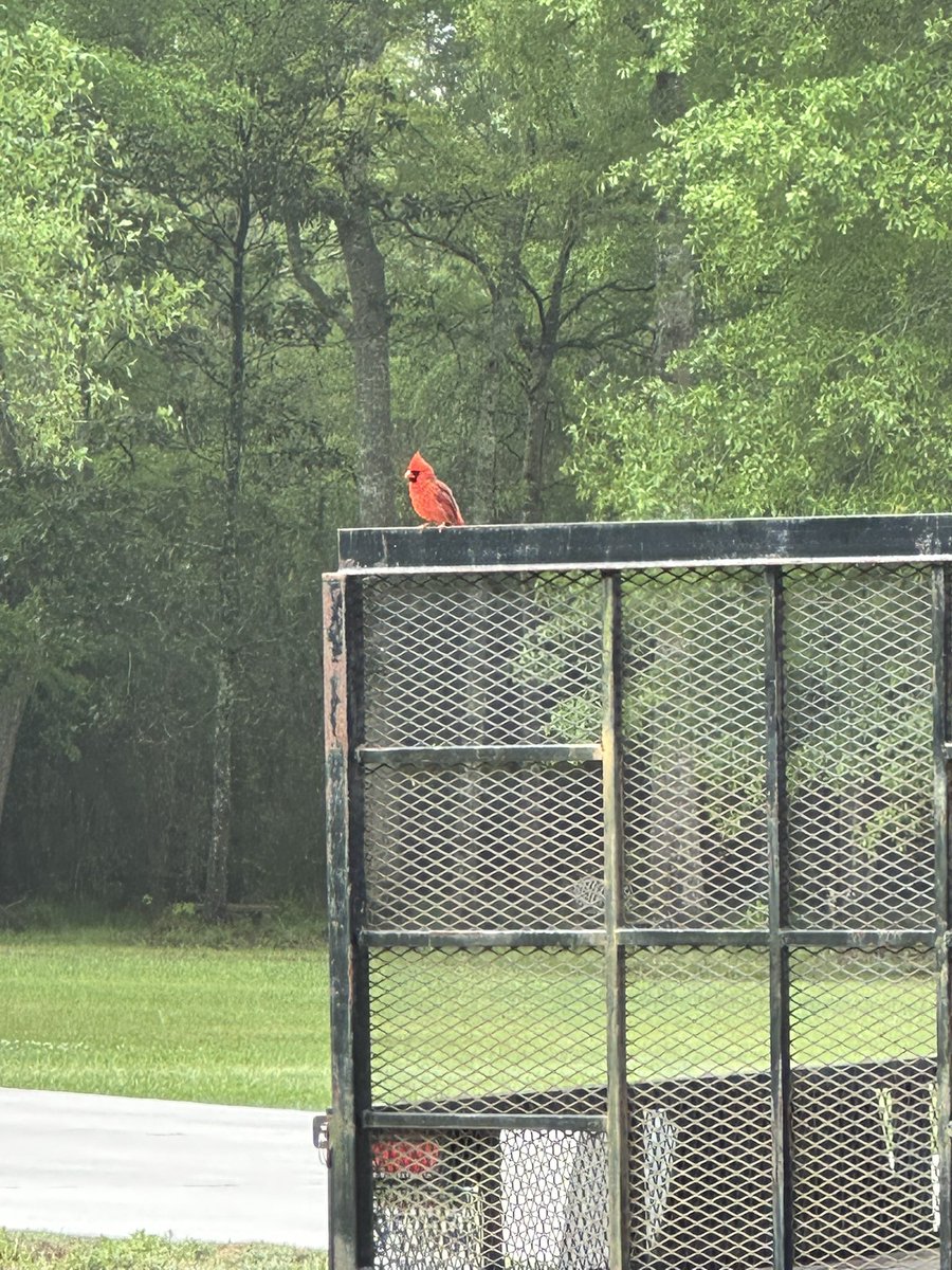 RedWhite&Bleaux tweet media