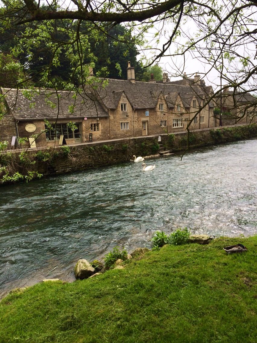 vistaaura tweet media