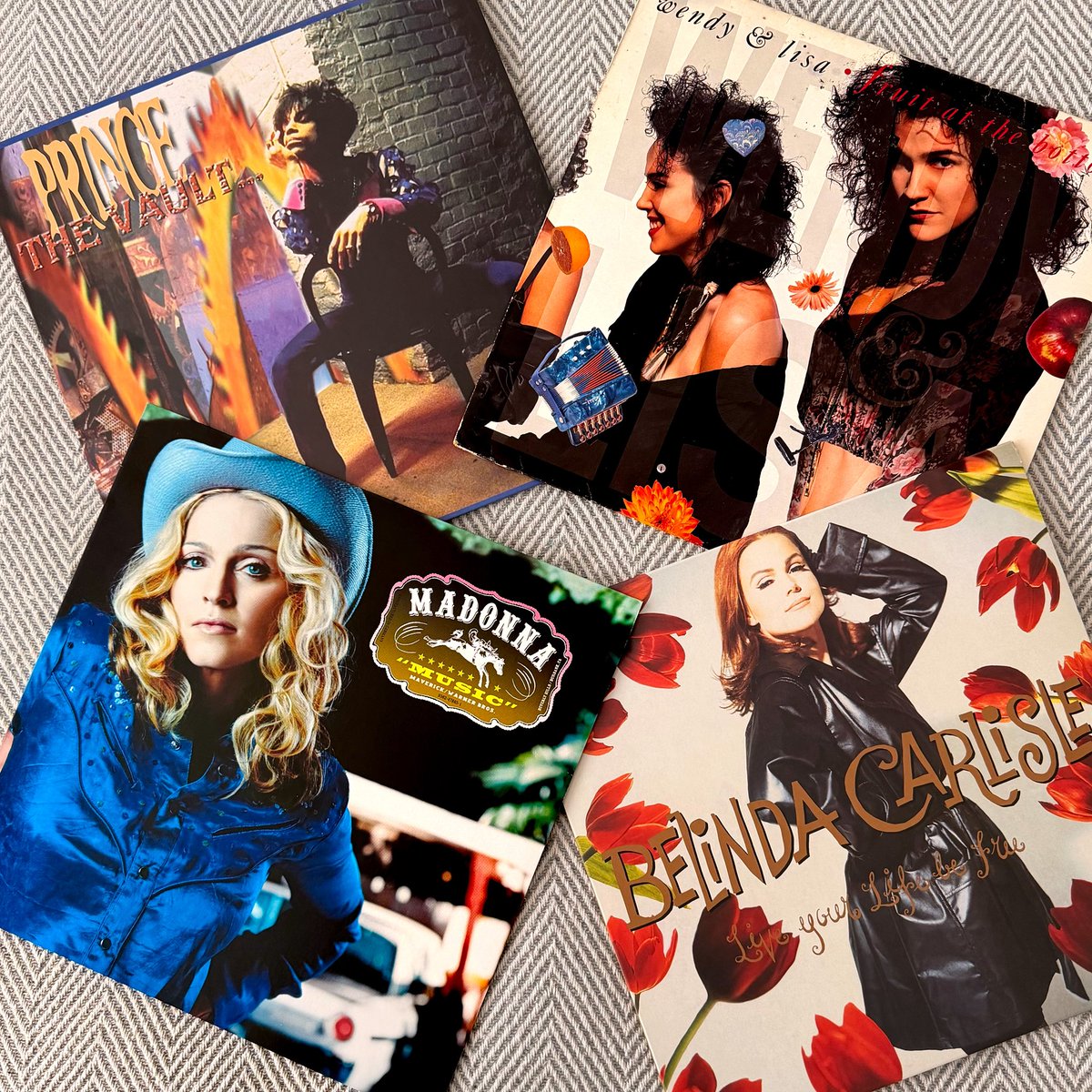 RACCOON 🎧 tweet media