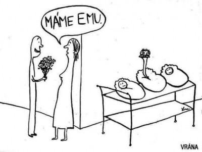 Středočeská Sešívka🇨🇿🇺🇦🇮🇱 tweet media