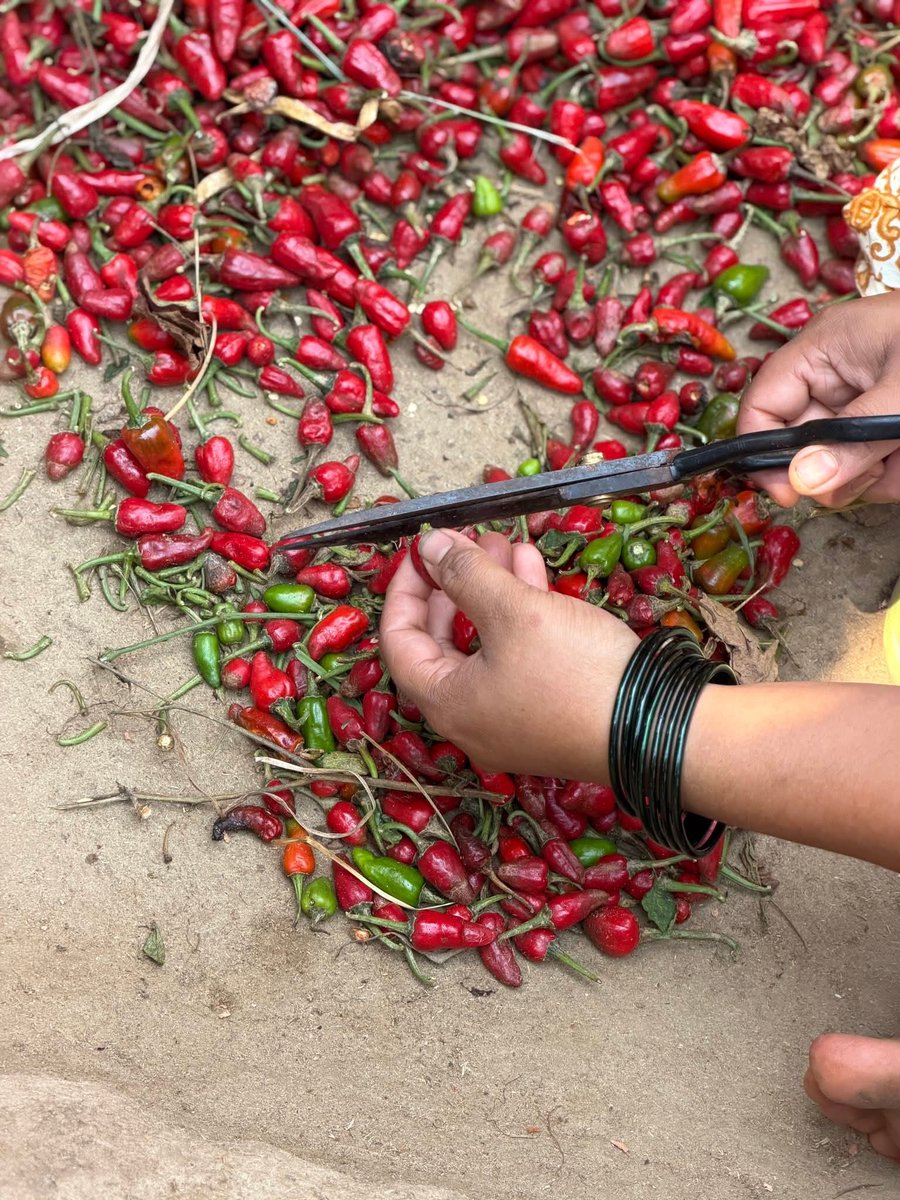 मालवणी माणूस ❤️😎 tweet media