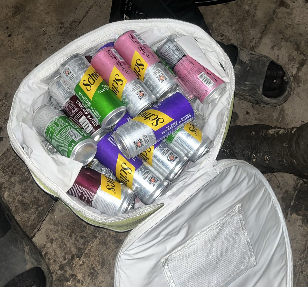 почвара звичайна tweet media