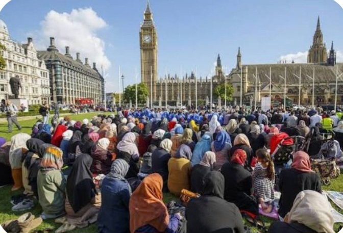 Timothy Hunter tweet media