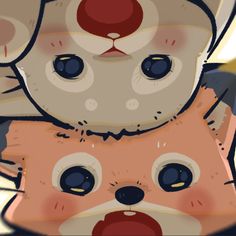 Nathan Müller tweet media