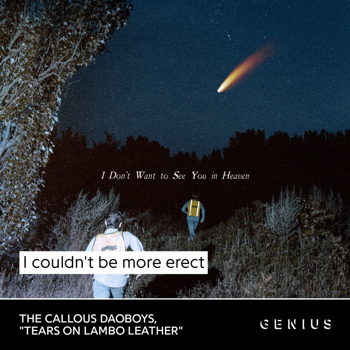 Crya ❄️🐏 tweet media