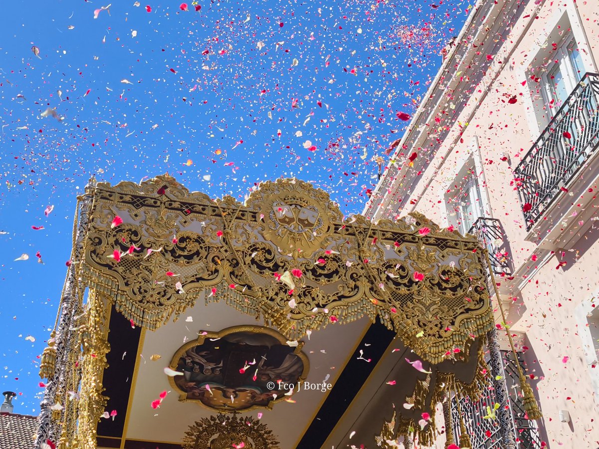 Fco José Borge tweet media