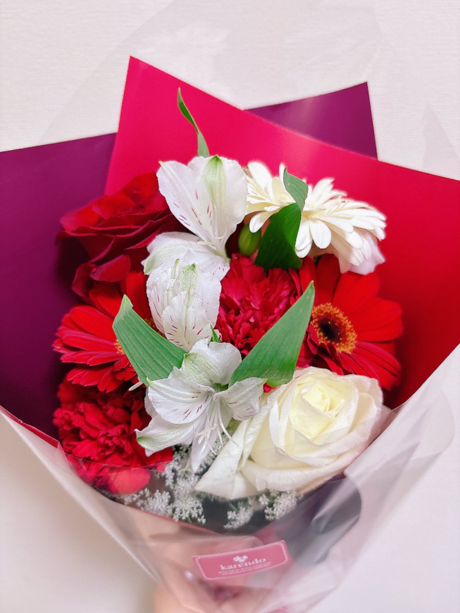 もこ⠉̮⃝🌻 tweet media