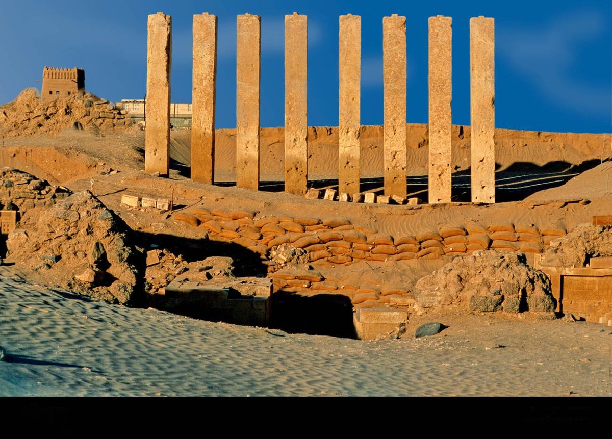 𐩨𐩺𐩩.𐩢𐩥𐩣𐩺𐩧 tweet media