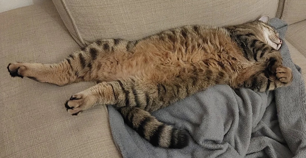 King Jack Strong 🇺🇦 🏳️‍🌈 🏳️‍⚧️ tweet media