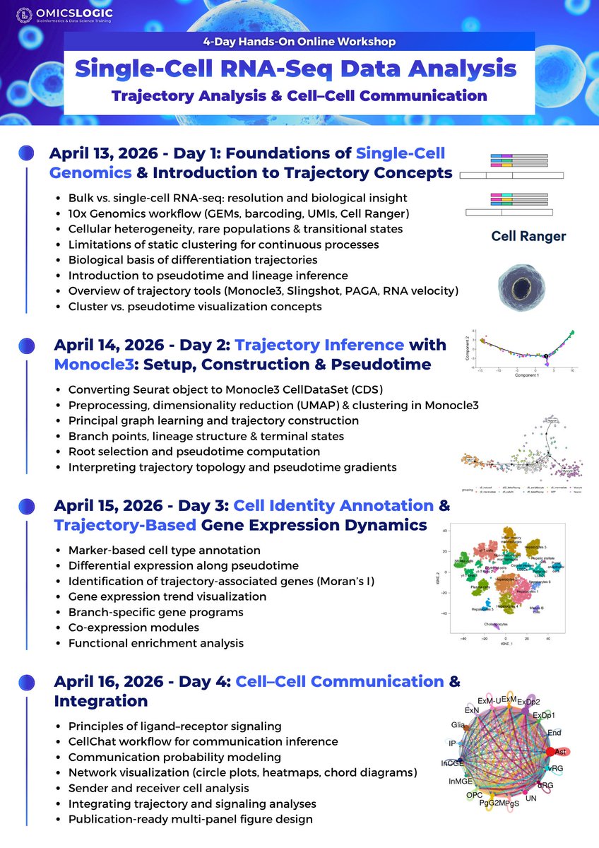 OmicsLogic's tweet photo. 🚨𝟒-𝐃𝐚𝐲 𝐇𝐚𝐧𝐝𝐬-𝐎𝐧 𝐎𝐧𝐥𝐢𝐧𝐞 𝐖𝐨𝐫𝐤𝐬𝐡𝐨𝐩 𝐨𝐧 𝐒𝐢𝐧𝐠𝐥𝐞-𝐂𝐞𝐥𝐥 𝐑𝐍𝐀-𝐒𝐞𝐪 𝐃𝐚𝐭𝐚 𝐀𝐧𝐚𝐥𝐲𝐬𝐢𝐬! 🧬💻

🔗 𝐑𝐞𝐠𝐢𝐬𝐭𝐞𝐫 𝐡𝐞𝐫𝐞: https://t.co/f3CPnHgwe8

#SingleCellRNASeq #scRNAseq #TrajectoryAnalysis #CellCellCommunication https://t.co/H0rxcCcbwe