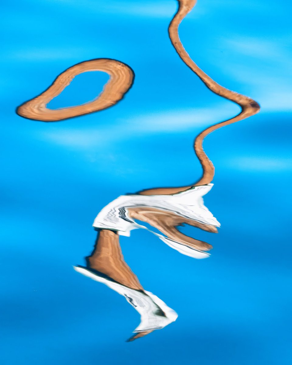 Tara in Abstract 🙃 tweet media