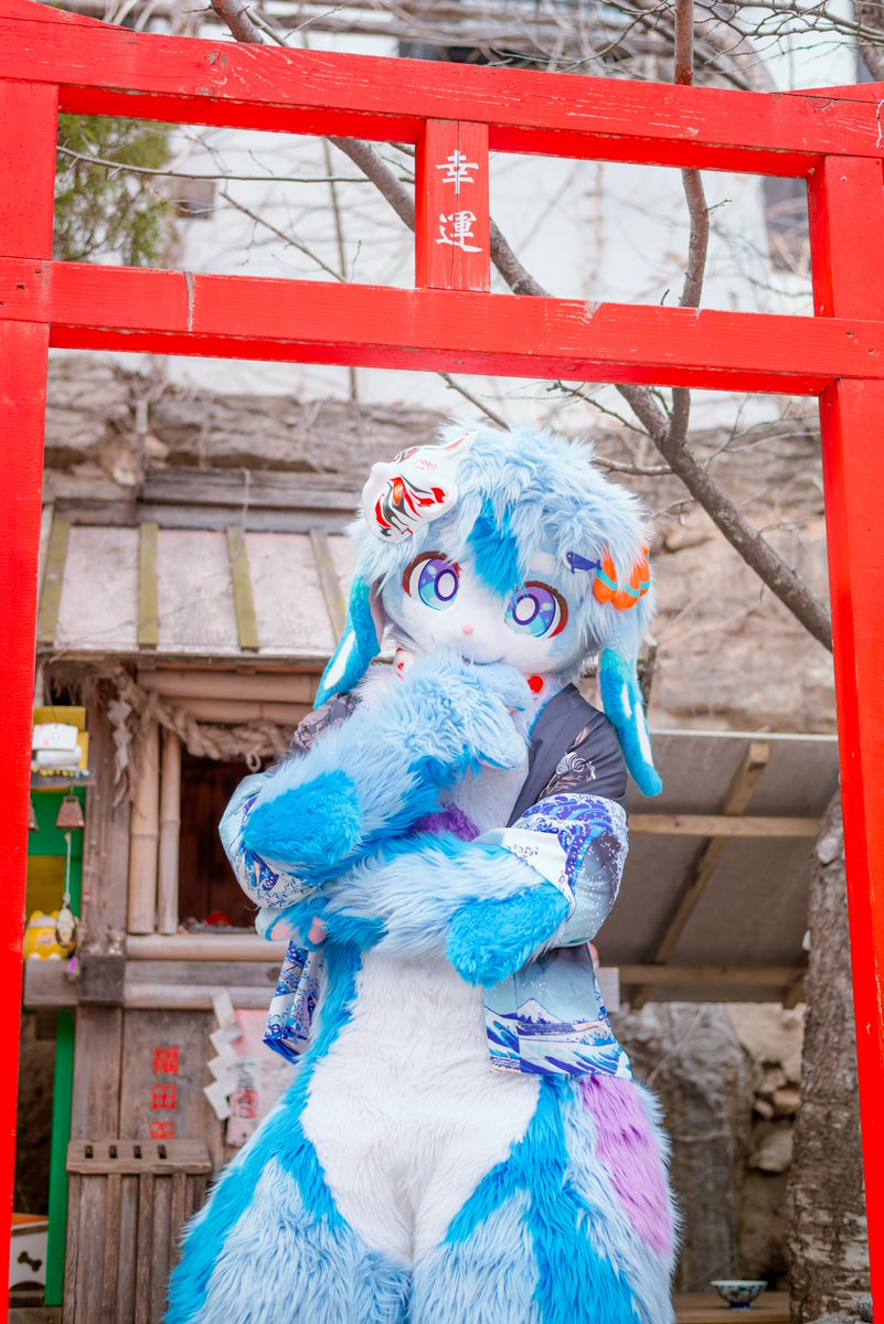 첨벙이 Splash 🦈 tweet media