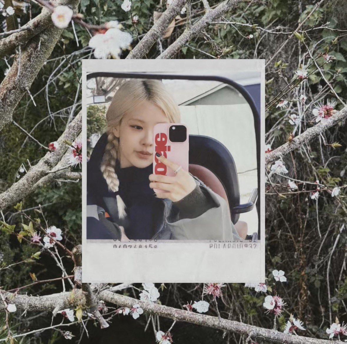 ─ ࣪.𑁍  soft steps, quiet blooms
somewhere between the trees,
I found a softer version of me ✿ .