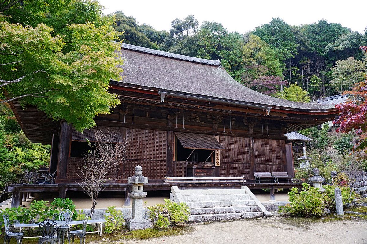 Indigo_blue tweet media