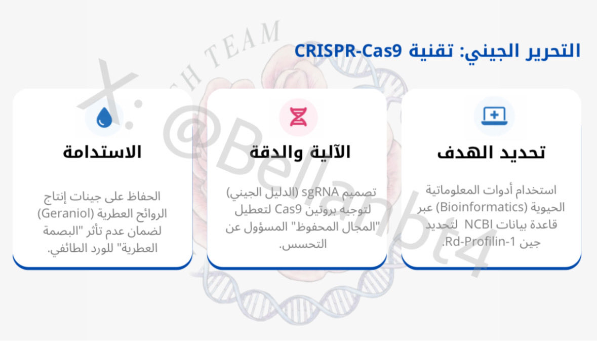 بـتـول 🧬 tweet media