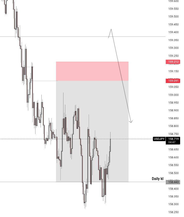 OMOR ♻️ tweet media