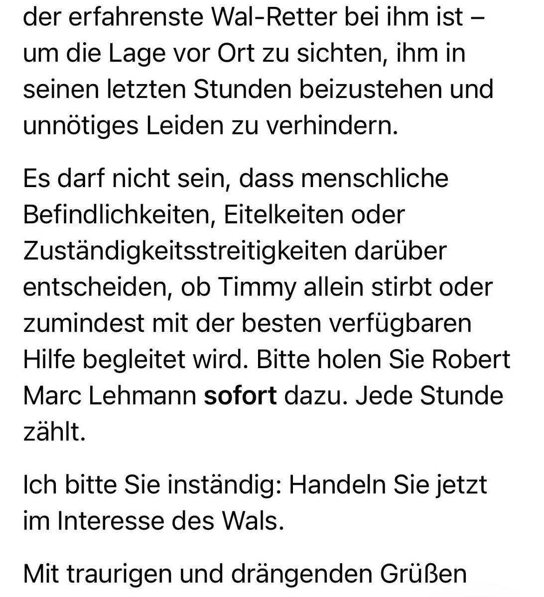 Cookie🐈‍⬛Stanley🐈Fiene🐯♥️ tweet media