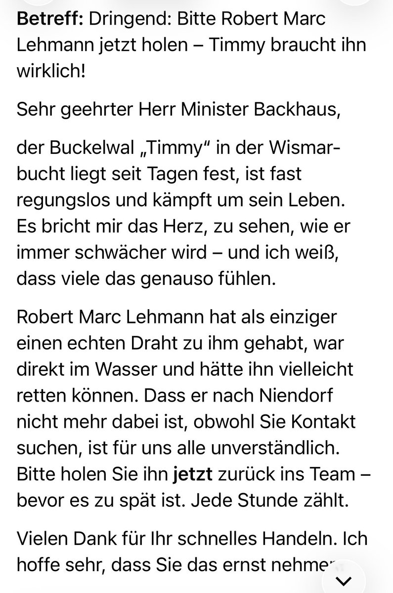 Cookie🐈‍⬛Stanley🐈Fiene🐯♥️ tweet media