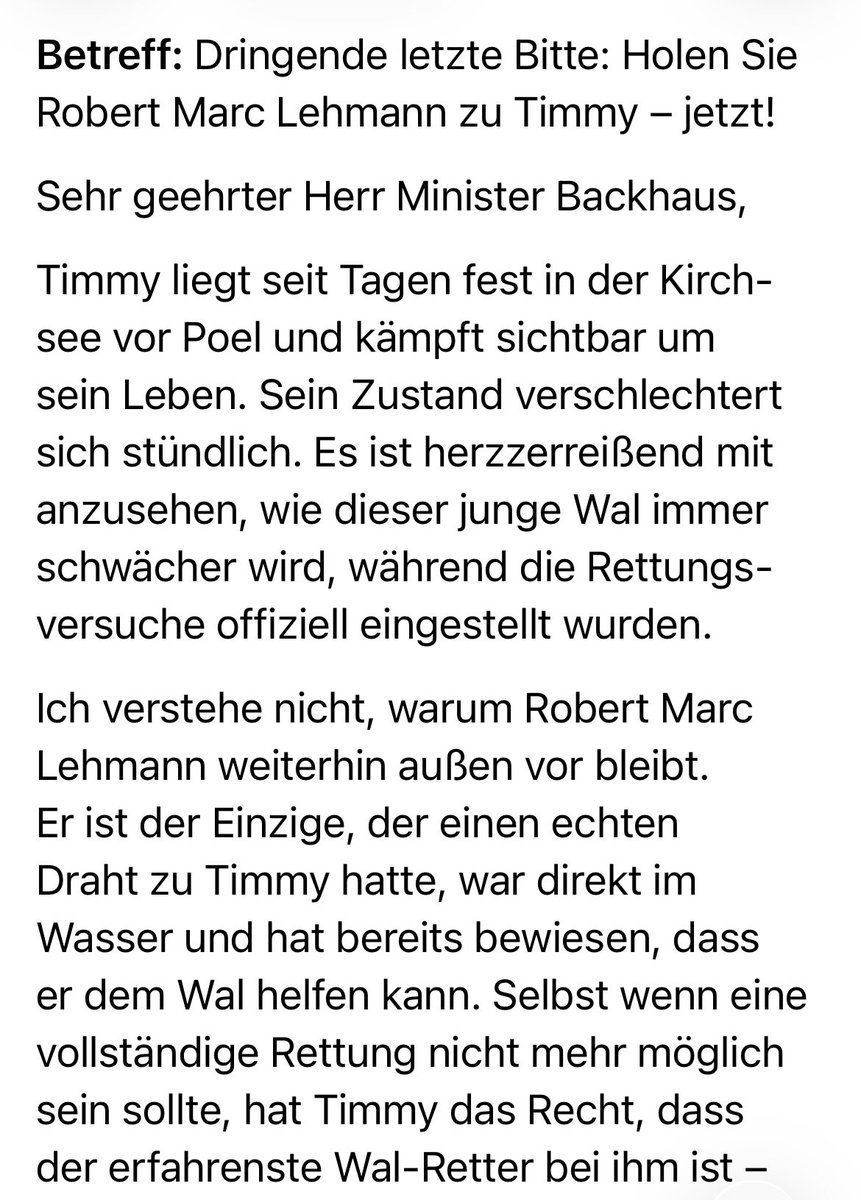 Cookie🐈‍⬛Stanley🐈Fiene🐯♥️ tweet media