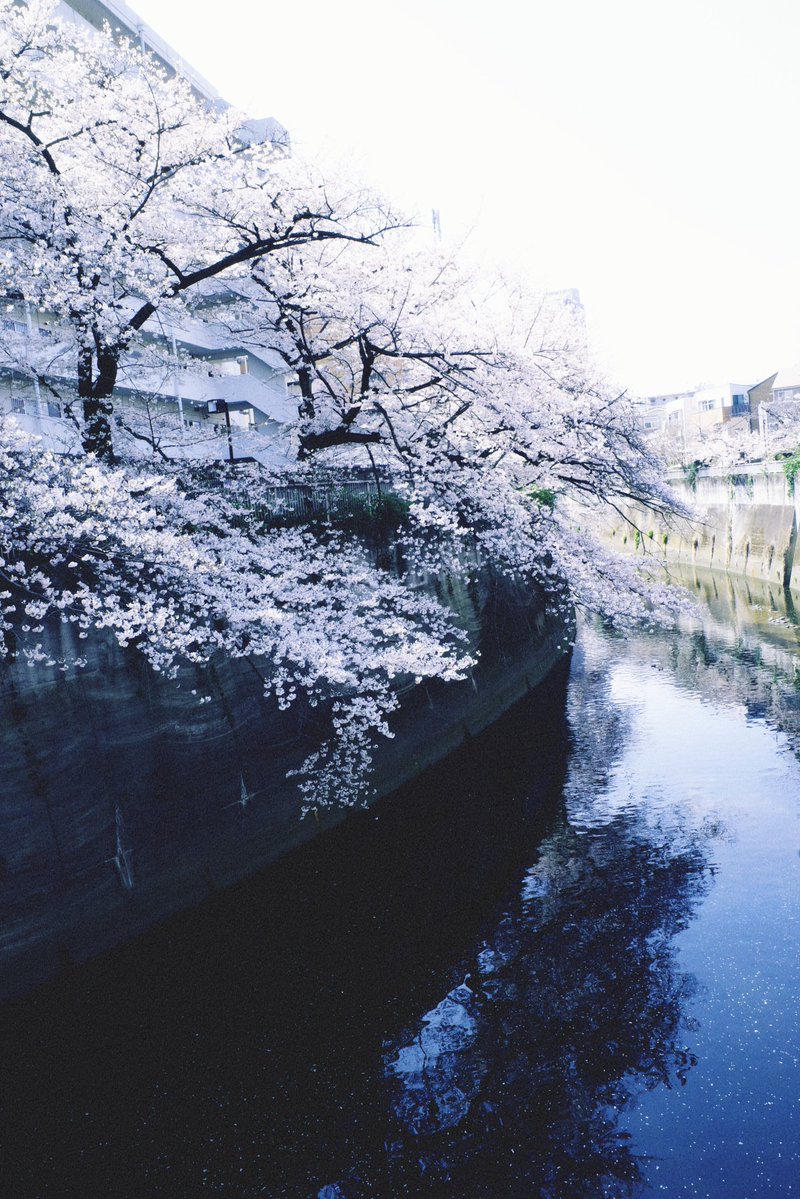 高橋瑞月 (@mako_com0120) on Twitter photo 