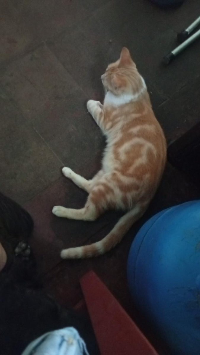 El Swingcópata tweet media