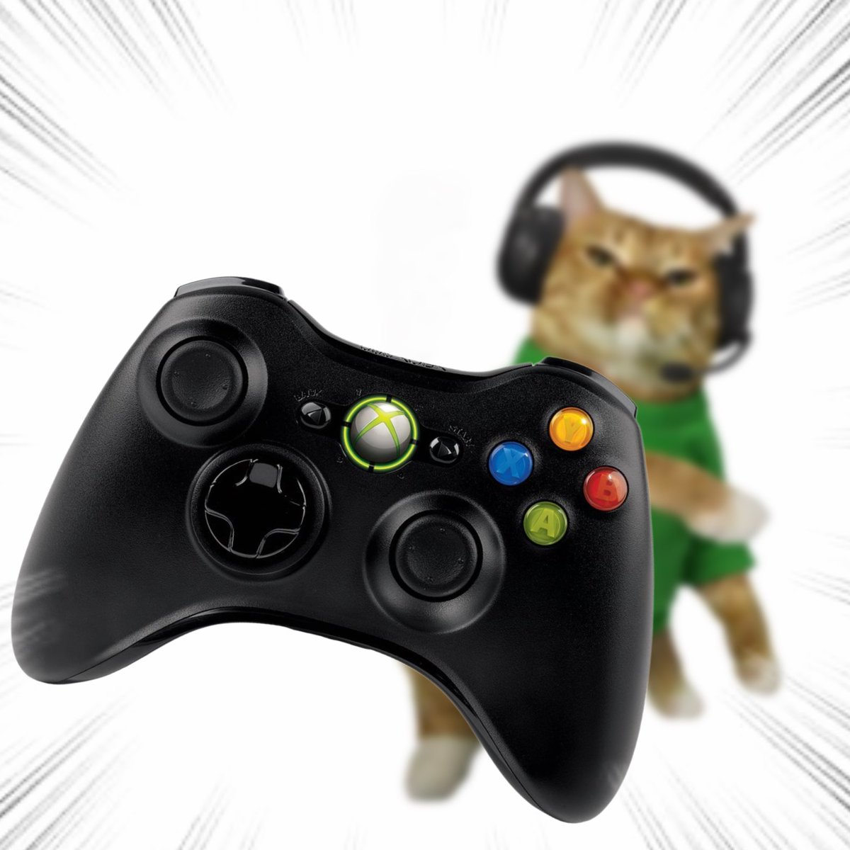 Throwing Things Daily tweet media