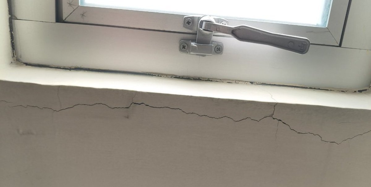 Salvador tweet media