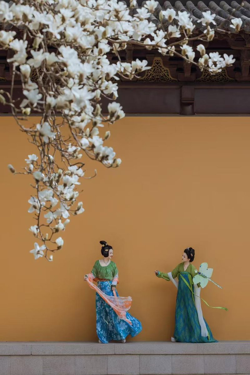 姜南笙🇨🇳（互Fo） tweet media