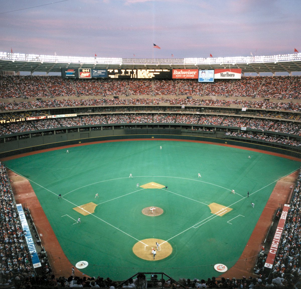 Cam Miller 🎥 tweet media