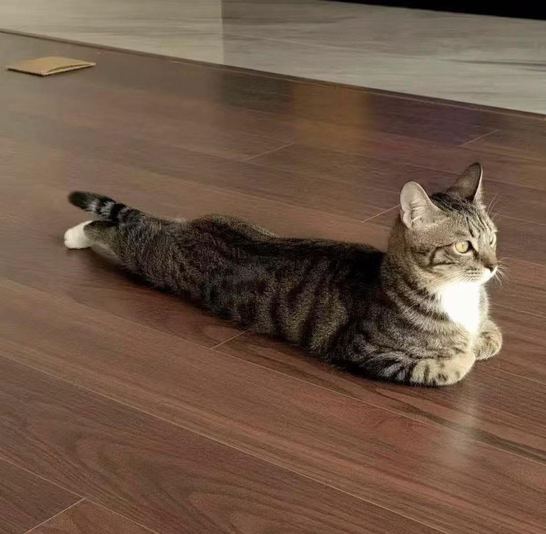 Wahaha(互fo💯) tweet media