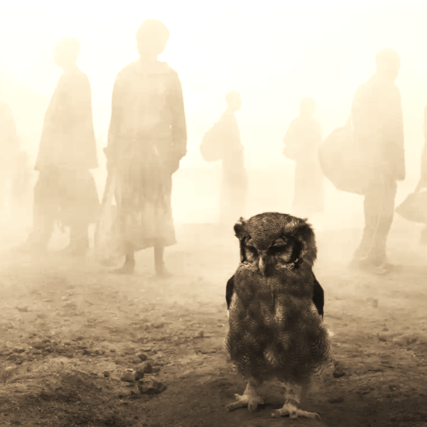 just_bobcast's tweet photo. BOBCAST APL 2026

'If you have a brain'

Jessie Buckley
The Roughnecks
Fabiano Do Nescimento
Terry Philips,
Bonobo,
Liam O'Connor &amp; Cormac Begley
The Beachnuts
The Hi-Lites
El Niño Perdido
The J Brothers
David Bowie
Beverley Ann
Ronnie Dickerson

https://t.co/ynPaHpvcB0 https://t.co/wTaJrmpv8p