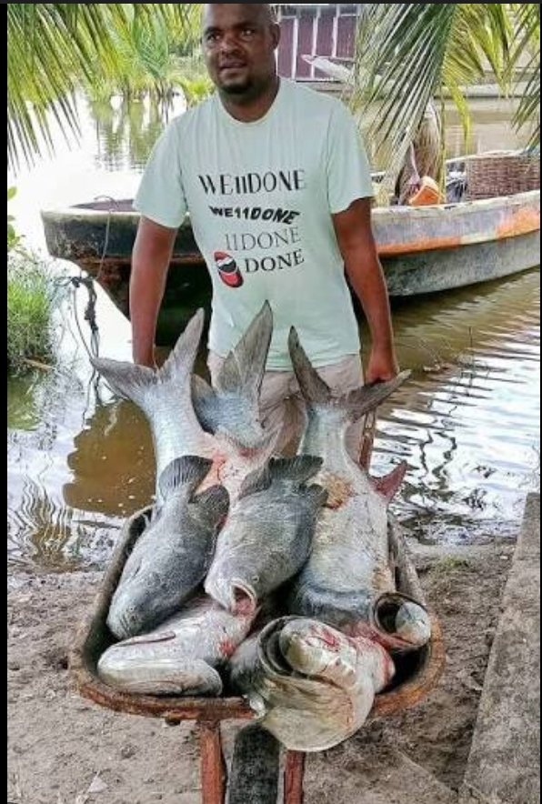 3RDking of Bayelsa tweet media