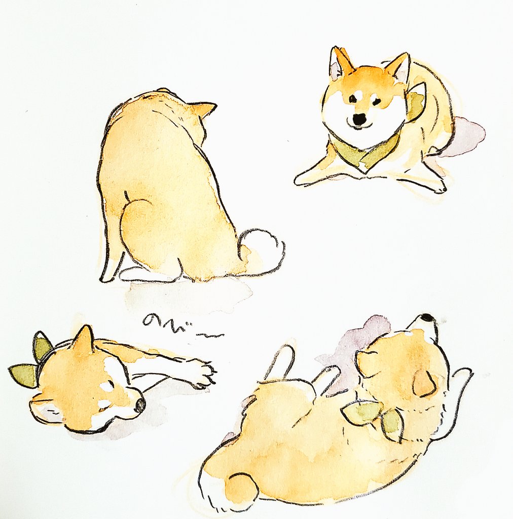 犬山スケッチ tweet media