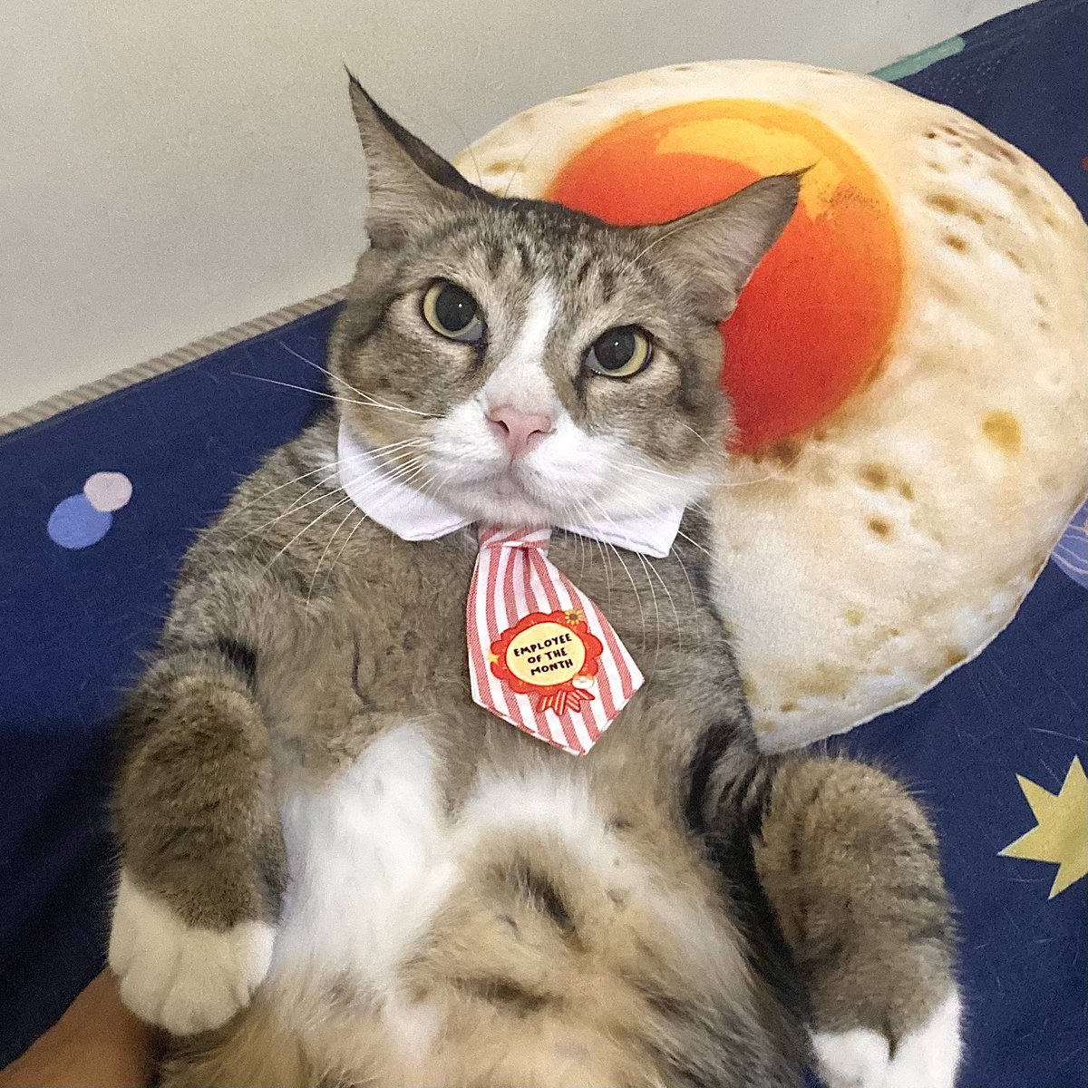 💌 open po cf22 tweet media