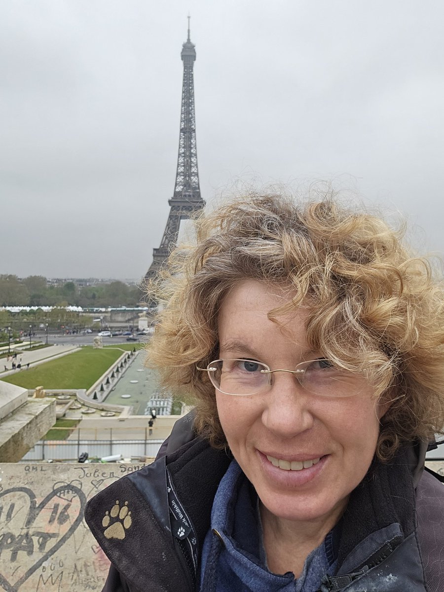 Sabine Hossenfelder tweet media